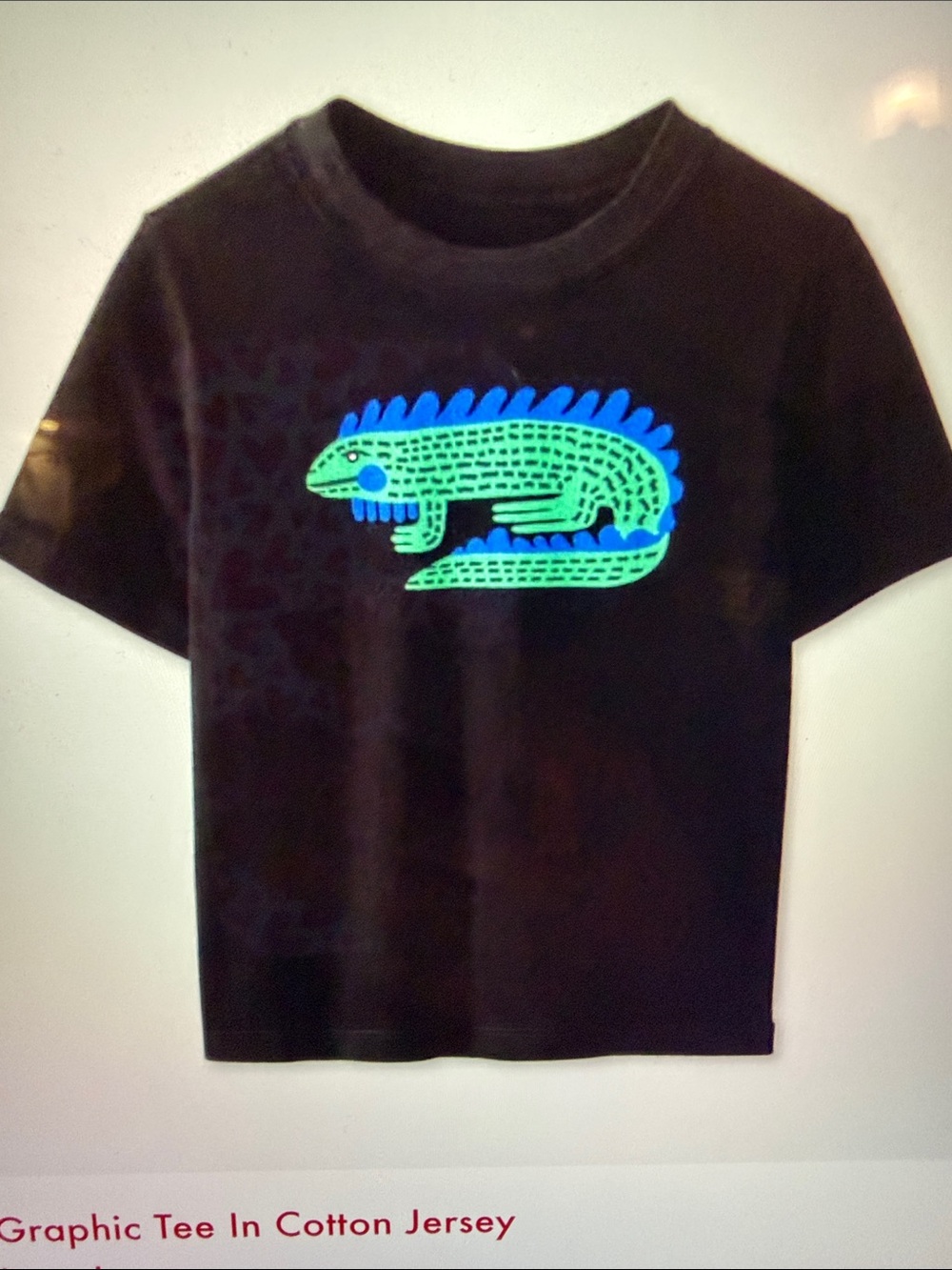 Hanna Andersson Gecko T Shirt 8